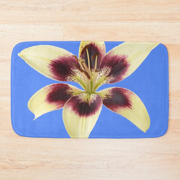 Item preview, Lilium  'Patricia's Pride'  Asiatic lily  designed and sold by Chris Burrows.