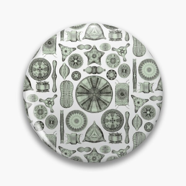 Item preview, Ernst Haeckel Diatoms Olive Green designed and sold by aimeewilson.