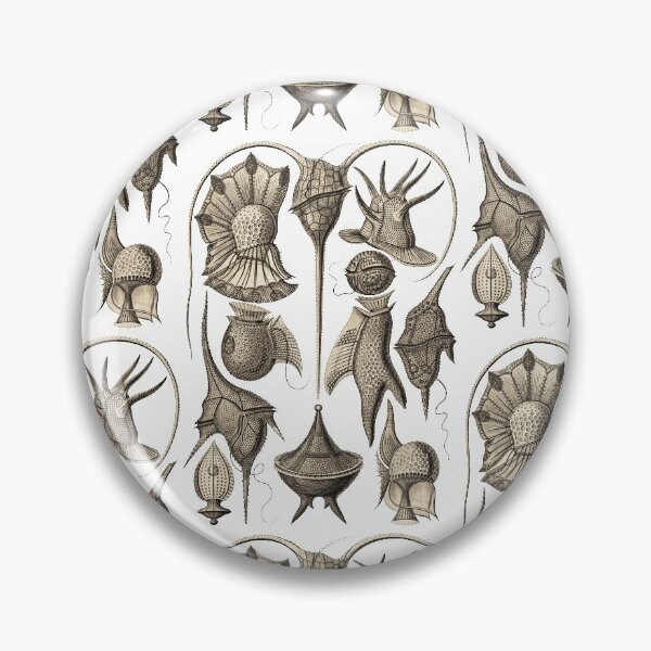Item preview, Ernst Haeckel Peridinea Plankton Wenge designed and sold by aimeewilson.