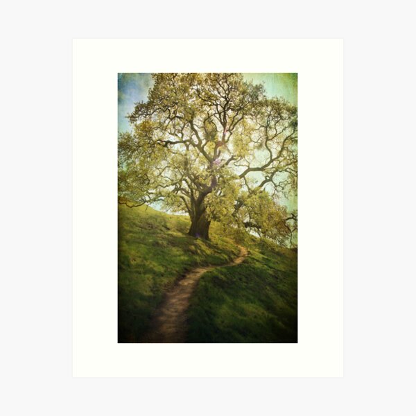 The Path to Brighter Days Art Print