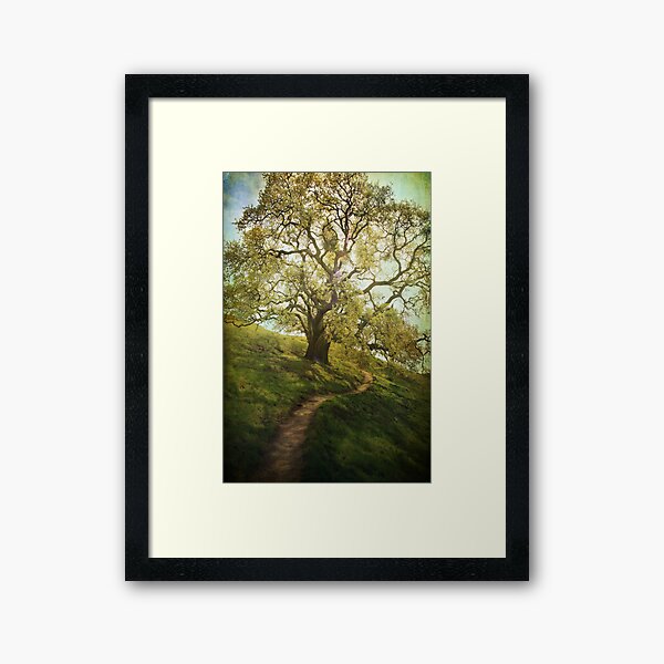 The Path to Brighter Days Framed Art Print