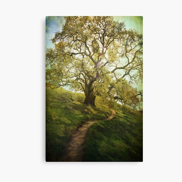 The Path to Brighter Days Canvas Print