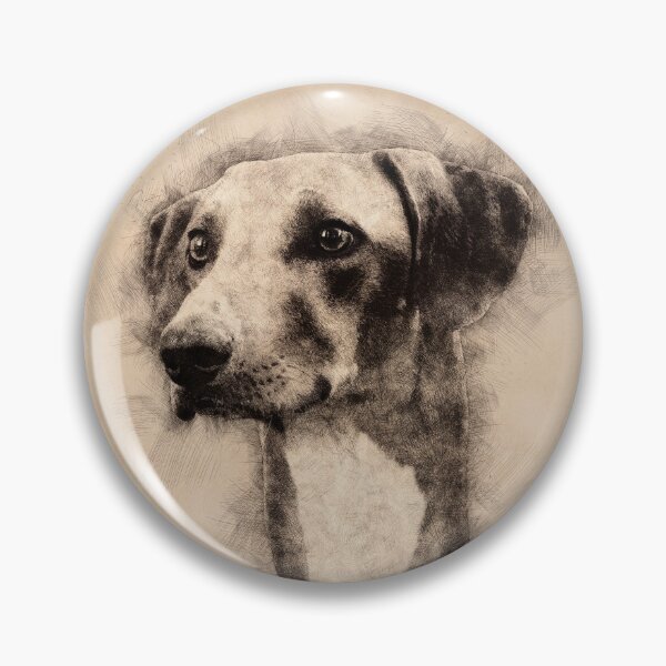 Item preview, Azawakh Sighthound Sketch designed and sold by k9printart.