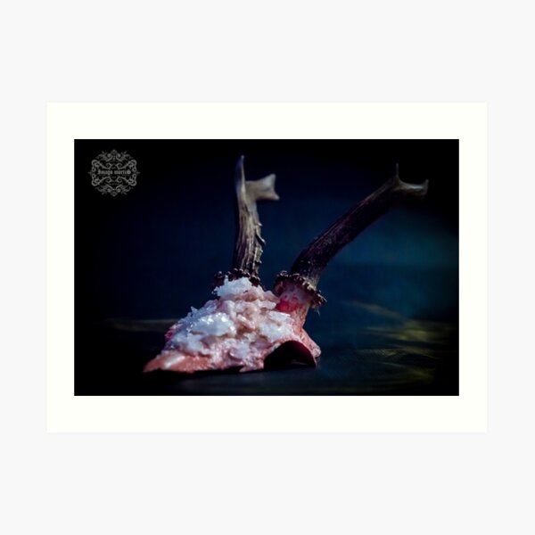'Crystallised Skull I' Art Print