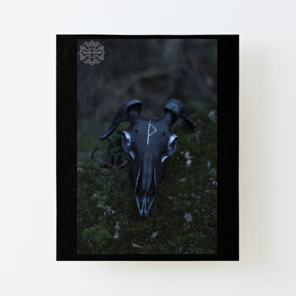 'Painted Skull' Canvas Mounted Print