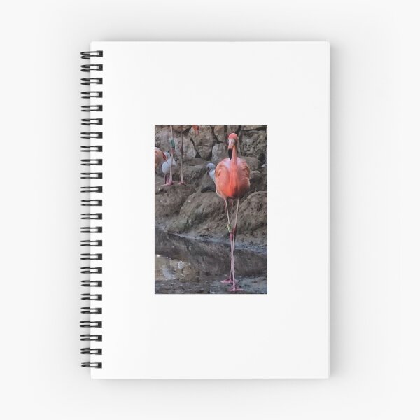Item preview, Flamingo Flamboyance designed and sold by brunoanjoloart.