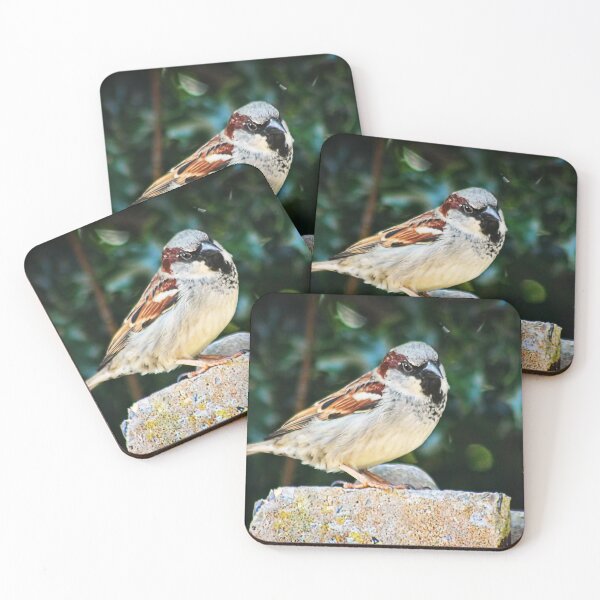 Item preview, Birds in the garden designed and sold by KatieWilde04.