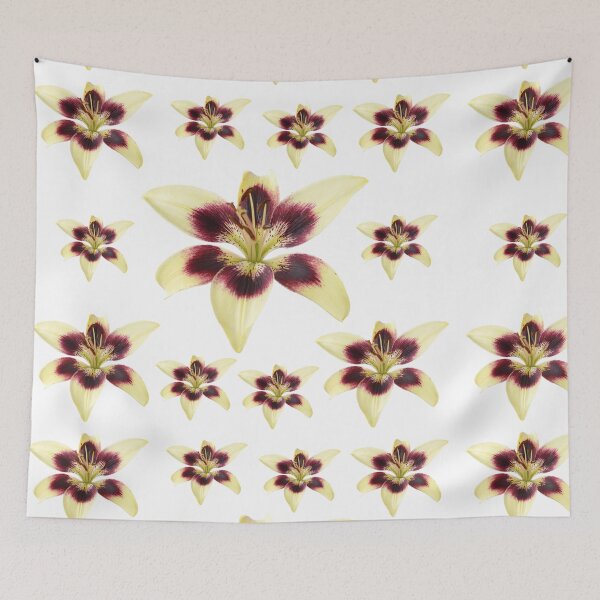 Item preview, Lilium  'Patricia's Pride'  Asiatic lily  designed and sold by Chris Burrows.