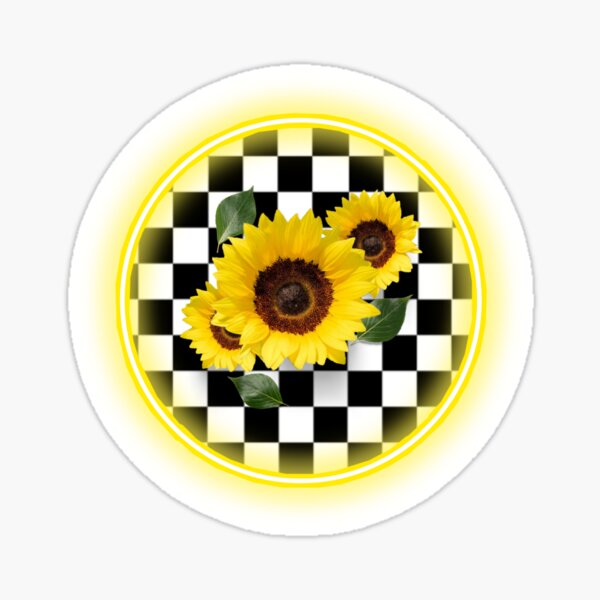 Checkers 2025 and sunflowers