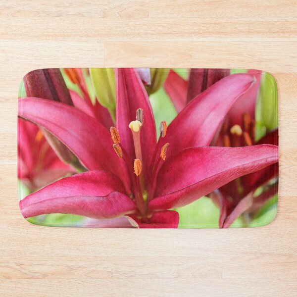 Item preview, Lilium  'Red Carpet'  Asiatic lily   designed and sold by Chris Burrows.
