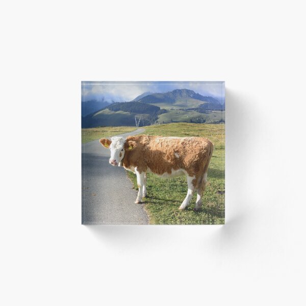 My Burger Eating His Own Boogers Acrylic Block