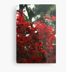 Leaves of Fire Metal Print