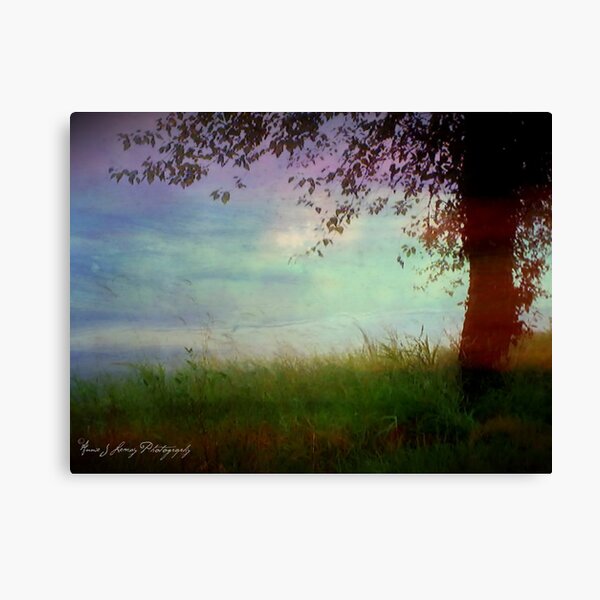 Whispering Tree Canvas Print