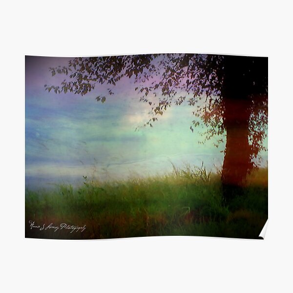 Whispering Tree Poster