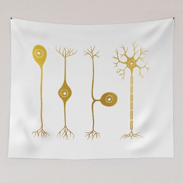 Item preview, Four types of neurons designed and sold by Liededrom..