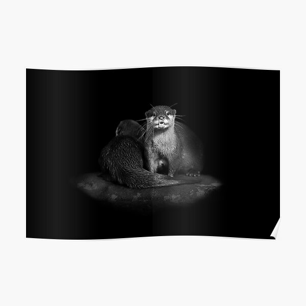 Otters Poster