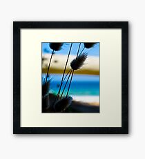 fluffy Framed Print