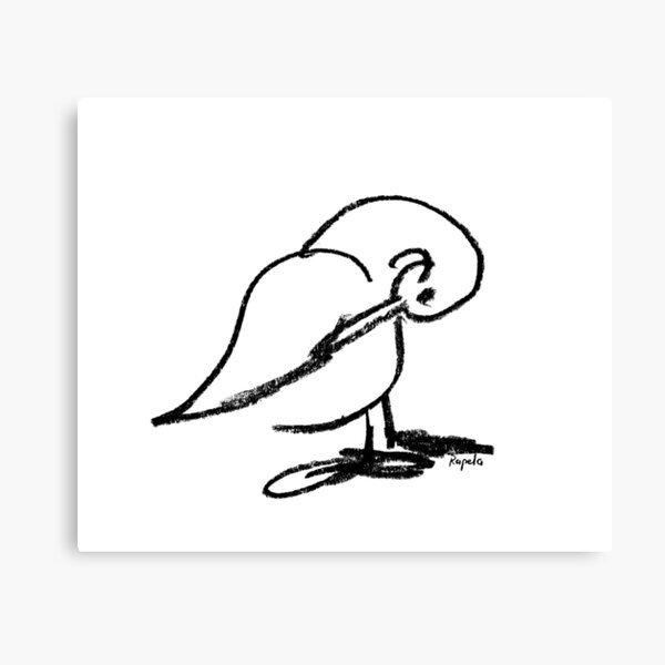 Duck scratching Canvas Print