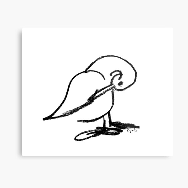 Duck scratching Metal Print