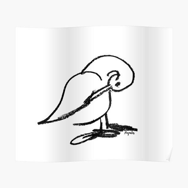 Duck scratching Poster