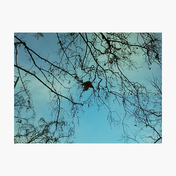 Looking through to the Blue Beyond Photographic Print