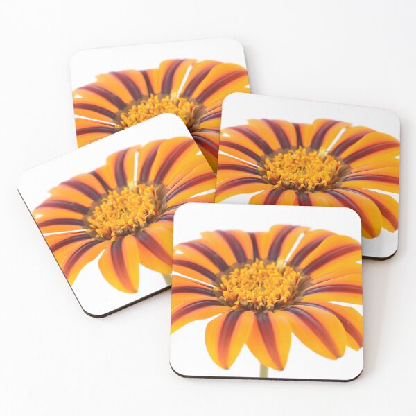 Item preview, Gazania  'Tikal'  SunBathers Series  designed and sold by Chris Burrows.
