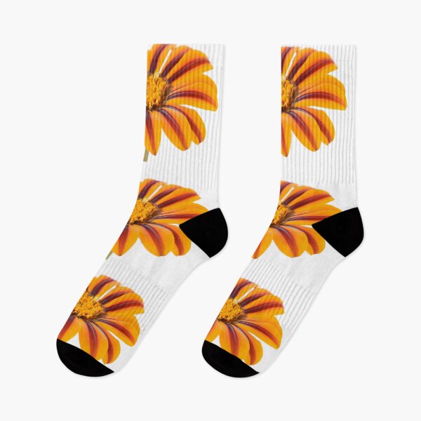 Item preview, Gazania  'Tikal'  SunBathers Series  designed and sold by Chris Burrows.
