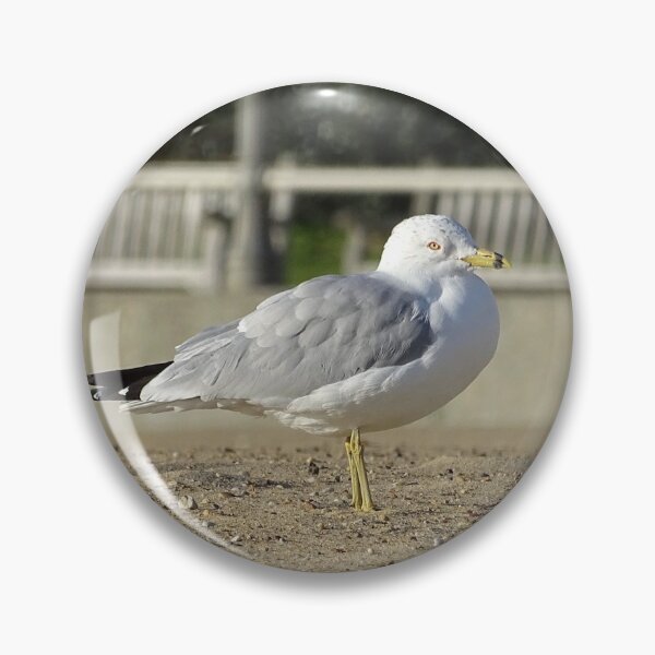 Item preview, Virginia Beach Seagull designed and sold by brunoanjoloart.