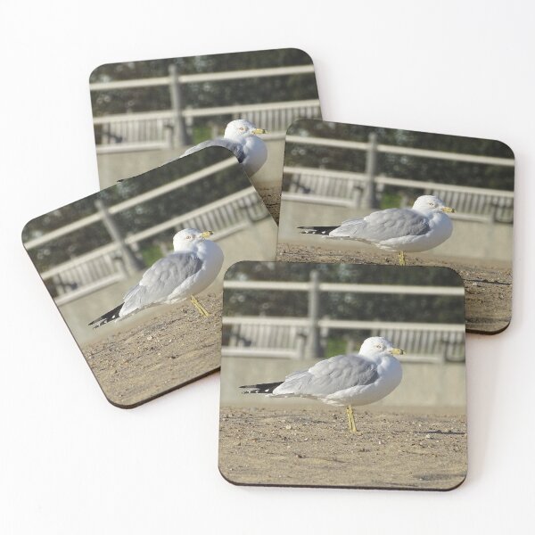 Item preview, Virginia Beach Seagull designed and sold by brunoanjoloart.