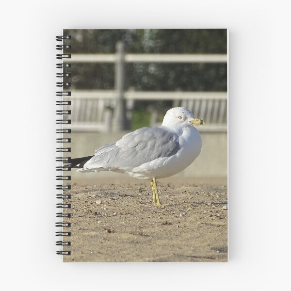 Item preview, Virginia Beach Seagull designed and sold by brunoanjoloart.