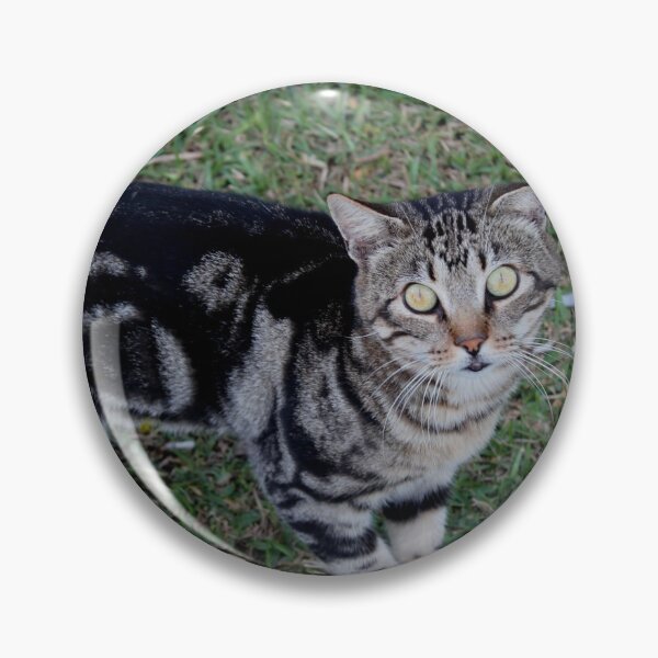 Item preview, Torremolinos kitty designed and sold by Perggals© - Stacey Turner.