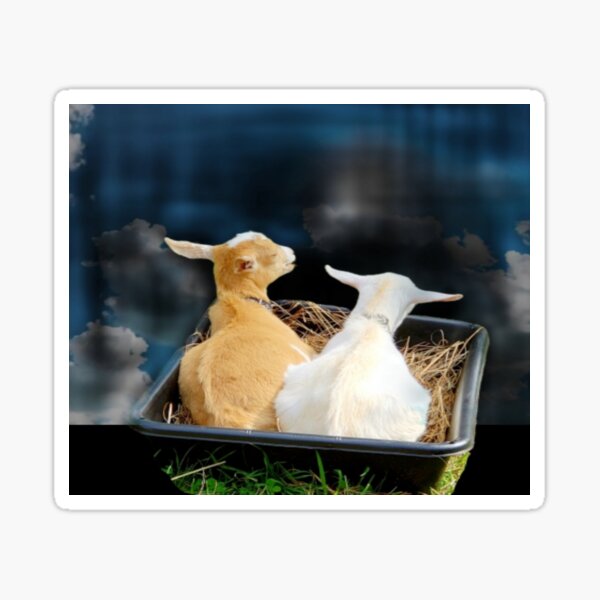 Item preview, Goats! designed and sold by snickles1977.