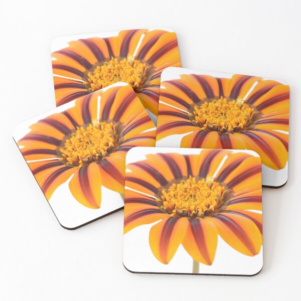Item preview, Gazania  'Tikal'  SunBathers Series designed and sold by Chris Burrows.