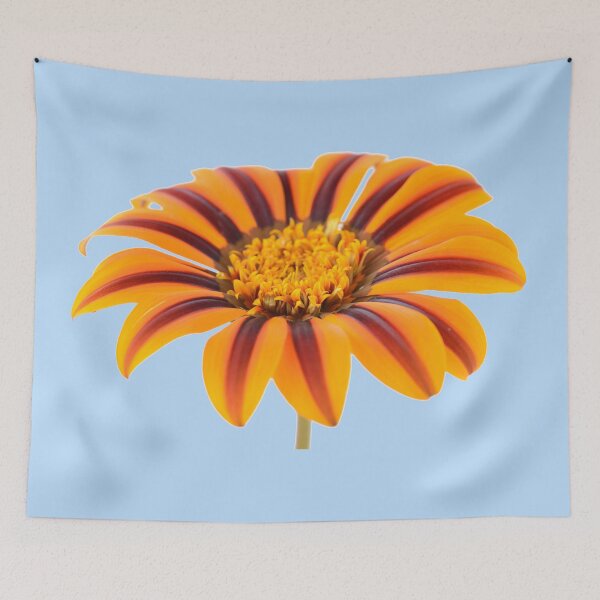 Item preview, Gazania  'Tikal'  SunBathers Series designed and sold by Chris Burrows.