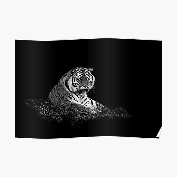 Untitled Poster