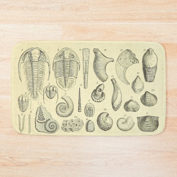 Item preview, fossils designed and sold by scrambledtofu.