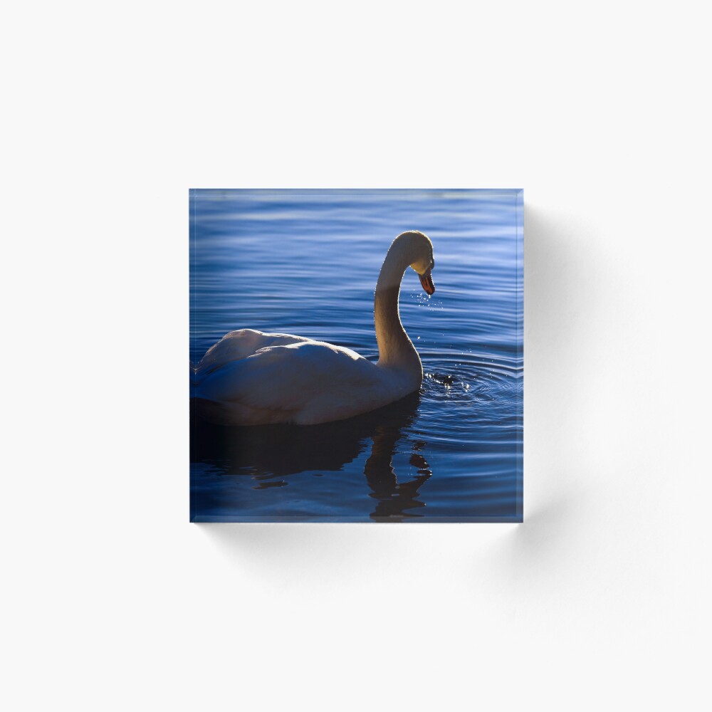 Item preview, Acrylic Block designed and sold by Lanas.