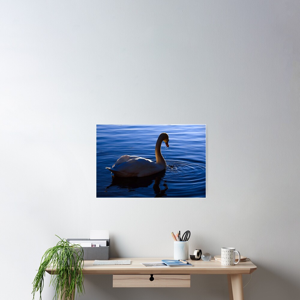Item preview, Poster designed and sold by Lanas.