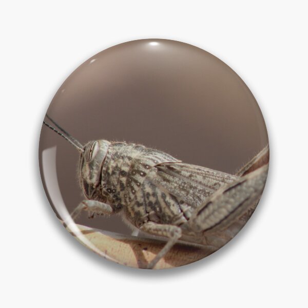Item preview, locust designed and sold by Perggals© - Stacey Turner.