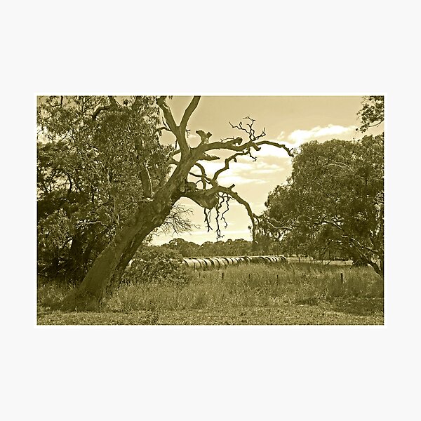Item preview, The Wallis Tree designed and sold by George Petrovsky.