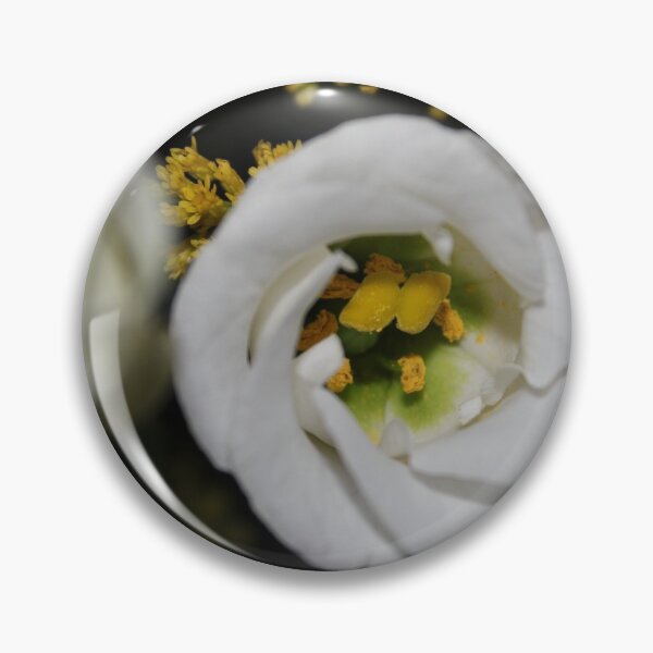 Item preview, Inside the white designed and sold by Perggals© - Stacey Turner.
