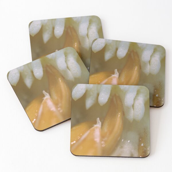 Item preview, The Heart of a Honeydew designed and sold by stephenralph.