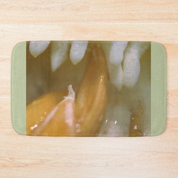 Item preview, The Heart of a Honeydew designed and sold by stephenralph.