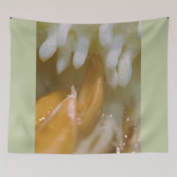 Item preview, The Heart of a Honeydew designed and sold by stephenralph.