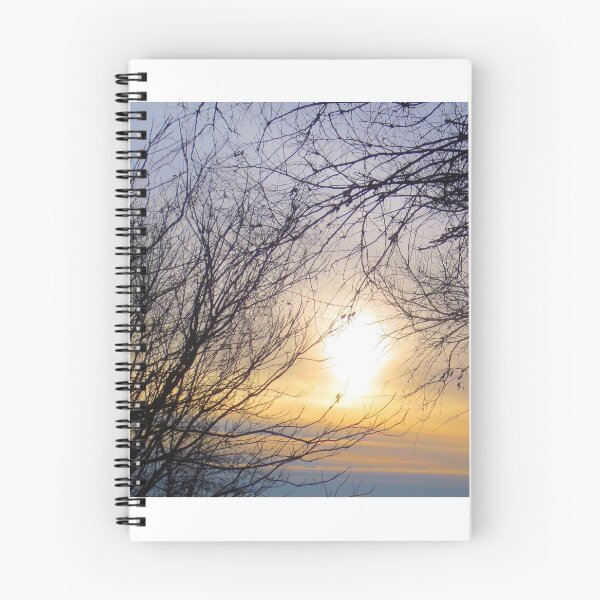 Item preview, Sunshine through Naked Trees designed and sold by brunoanjoloart.
