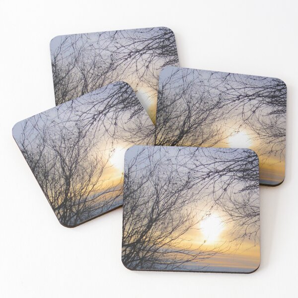 Item preview, Sunshine through Naked Trees designed and sold by brunoanjoloart.
