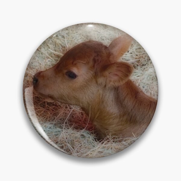 Item preview, Cute baby cow designed and sold by MarionsArt.
