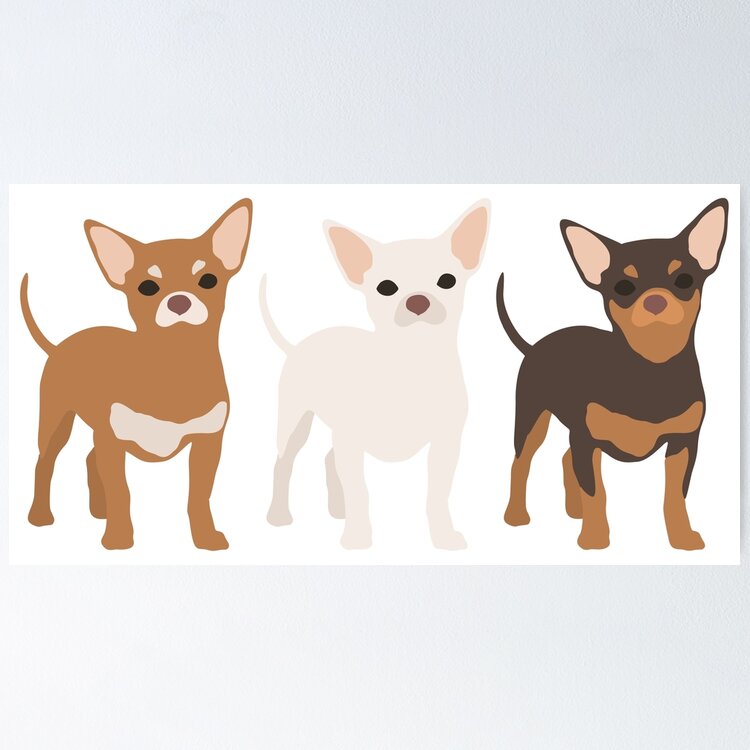 Fun Chihuahua Dog Breed Lover Pattern  Sticker
