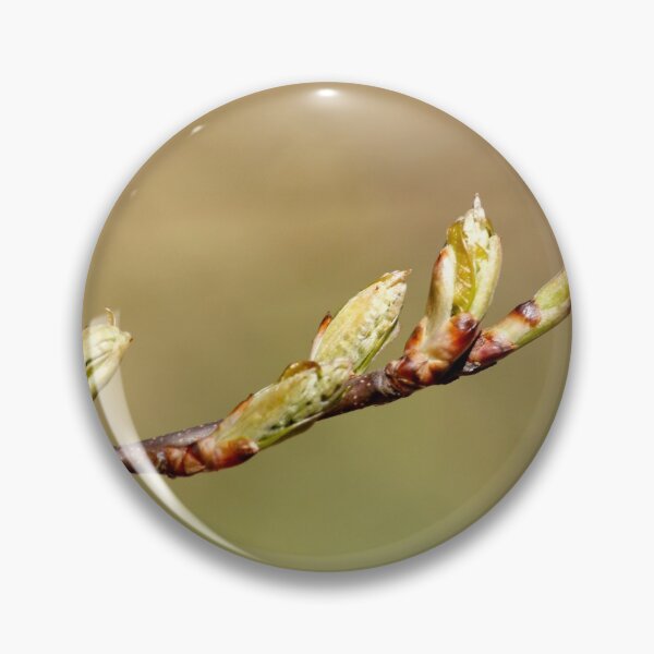 Item preview, Spring branch designed and sold by Shoshina.