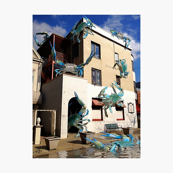 Ocean Invasion #12: We've Got Crabs Photographic Print